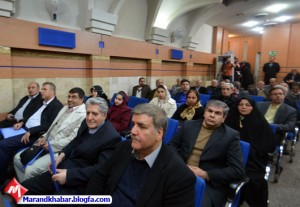 سیدمرندی