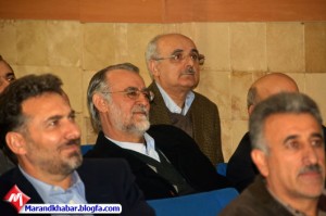 شافعی وزیر