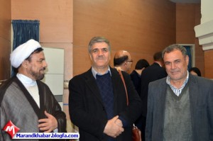 متفکرنجفی سیدمرندی