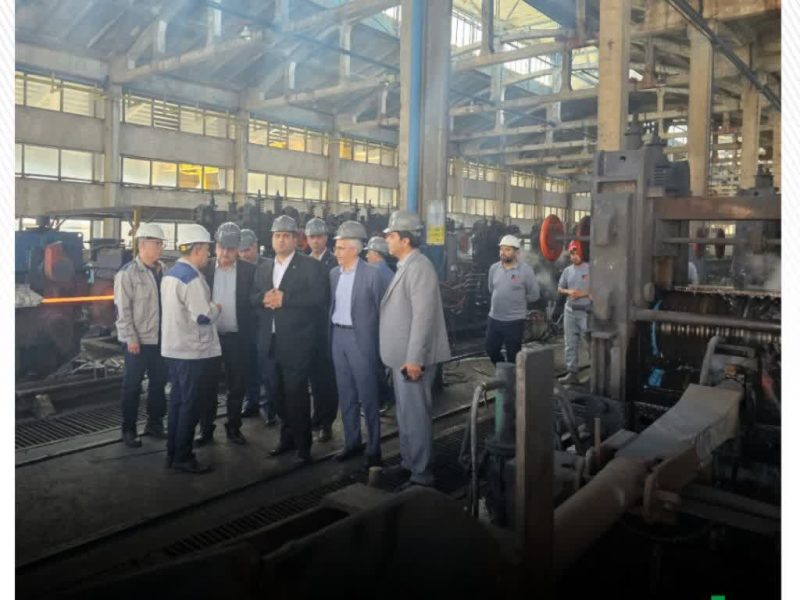 بازدید مدیرعامل منطقه آزاد ارس از شرکت فولاد Karakert Steel در ارمنستان